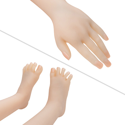 手指はスラッと美しいですが、足先はちょっと幼さを感じます。身体が小さすぎて、爪のサイズが指と合ってないのも少々残念なポイントです。