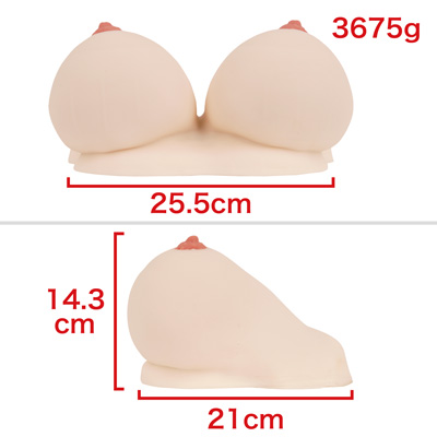 造型美際立つ、重力に負けない乳房。重量もこれくらいだと取り回しやすく、シャキッとしているので扱いやすいです。　※数値はＮＬＳ実測値