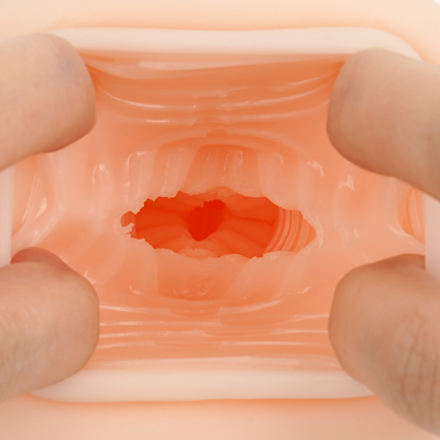 猫舌をイメージした横ヒダと、喉奥をイメージした網目状の蛇腹ヒダが楽しめる内部構造。