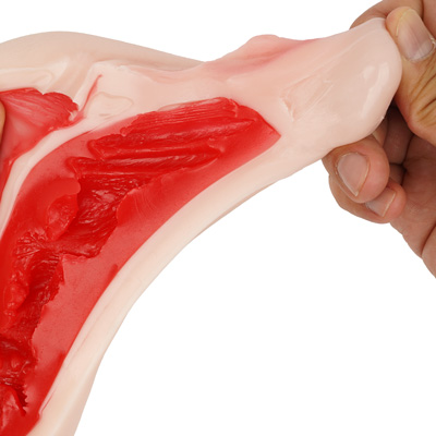 外側を覆う人肌素材と赤黒い粘膜系インナーの間に、女性の肉感を再現する柔らかい素材をプラスした、とても高品質な３層構造です。