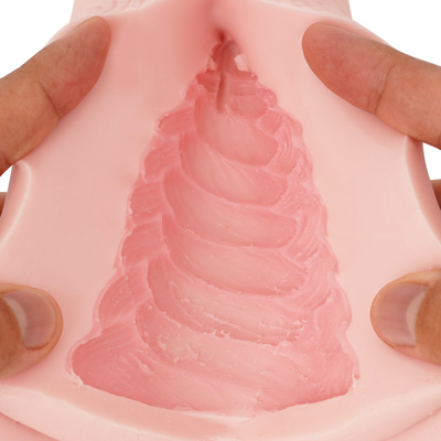 粘膜質なヒダが連続し、ペニスをやさしくシゴきます。派手さのないテクスチャーながら、この肉厚さのおかげで十分な射精力です。