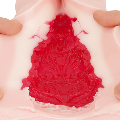 派手さのない生体的なテクスチャーですが、凹凸はクッキリ伝わるため刺激は強め。さりとてオナホ感の薄い、リアル系のフィーリングです。