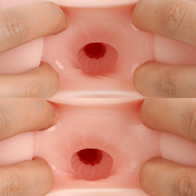 アナルはふんわりとろける生食感の凸凹ウェーブ、ピストンに合わせて絡みつく極細有機ヒダが配置された内部構造になっています。
