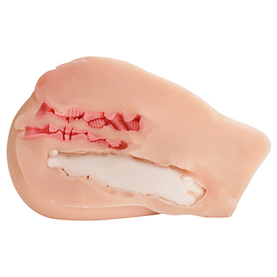 柔らかい素材と肉厚なボディによる締め付け、骨盤の反発力が生むリアルな抱き心地など、すべての要素が上手く噛み合っているのが見事。