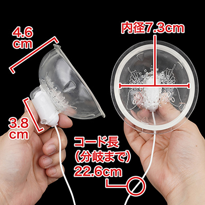 蝶の模様が入った透明なバストカップ。やや小振りですが乳首回りだけをカバーできればいいので、これで十分。　※数値はＮＬＳ実測値