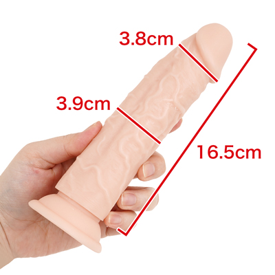 【16cm】　※数値はＮＬＳ実測値