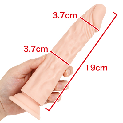 【19cm】　※数値はＮＬＳ実測値