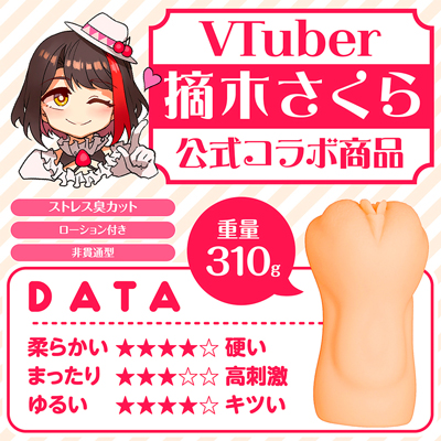 清楚系女子大生家庭教師　摘木さくら