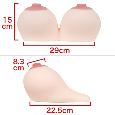 重力に逆らったロケット型の乳房は、リアルじゃまずお目にかかれません。シリコンおっぱいに萌える人にピッタリかも。　※数値はＮＬＳ実測値