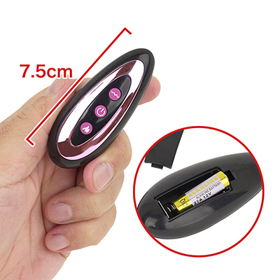 「##1529##」と同じリモコン。電源は12V電池×１本（付属）で、入手しにくい細身の電池です。ＮＬＳの「##3299##」は適合しないので、ご注意ください。　※数値はＮＬＳ実測値