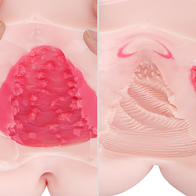左がヴァギナ側の膣壁、右がアナル側の腸壁です。イボとヒダでクッキリ使い分けられますが、どちらも奥が狭くなっていて、先端がキュウッと締め付けられます。