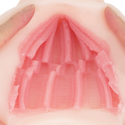 じつは中腹にごく短い切り返しエリアが設けられており、これが前後のヒダ位置をスムーズに移行させる橋渡し的な役割を担っています。