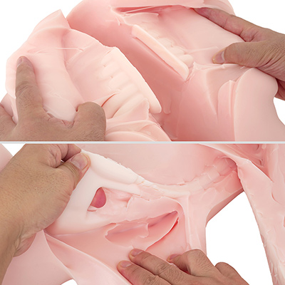 ここからは切り刻んで解体した、ちょいグロ画像です。乳白色の硬いパーツが高弾力シリコンの骨格で、要所要所を覆っています。