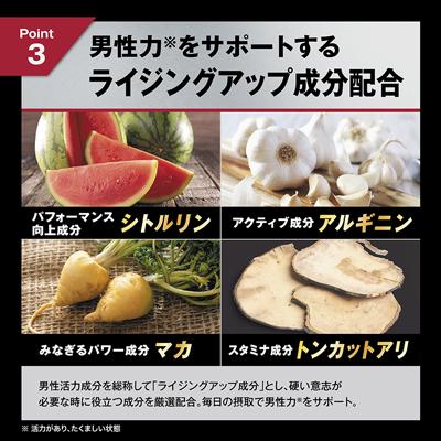HOMTECH（オムテック） ライジングアップ ローション