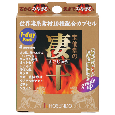 凄十1DAYパック