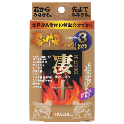 凄十豪快パック