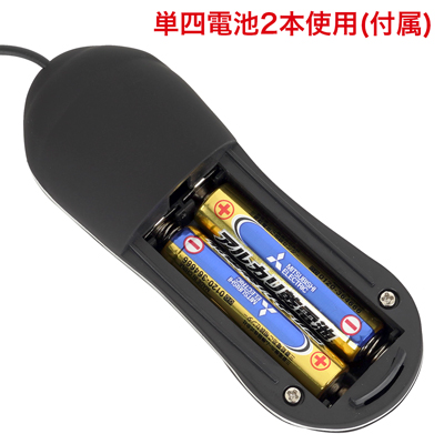 背面の電池蓋を外し、写真の向きに合わせて電池をセットしてください。　※付属の電池は「動作確認用テスト電池」です。