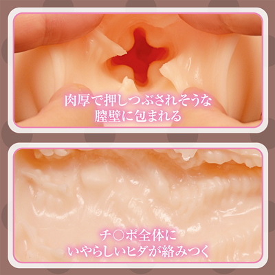 執着点 THE HOLE 数量限定版