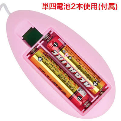 すぐに使える乾電池式。　※付属の電池は「動作確認用テスト電池」です。