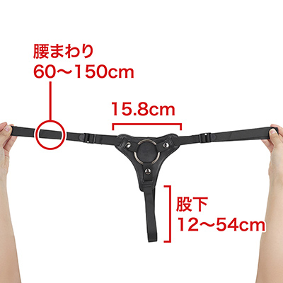 ハーネスはよくある逆三角形の台座に固定ベルトが付いたタイプ。装着適合範囲が広いのは大きな長所です。　※数値はＮＬＳ実測値