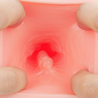 繊細なヒダ目が膣内全域に広がっています。ボテヒダ表面にも分割されたネジ山のような溝があり、これが快感の要になっています。