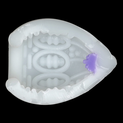 【LIGHT PURPLE】　断面図