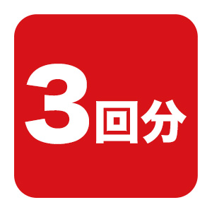 ４粒×３回分