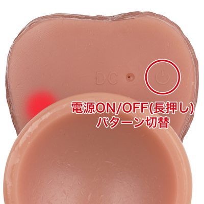 ８種類のアクションパターンを搭載。本体でのマニュアル操作では温感/クライマックスキーは動きません。