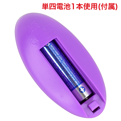 リモコンは電池交換式。写真の向きに合わせて電池をセットしてください。　※付属の電池は「動作確認用テスト電池」です。