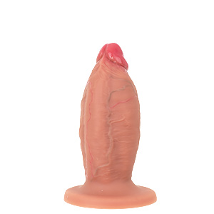 ５L