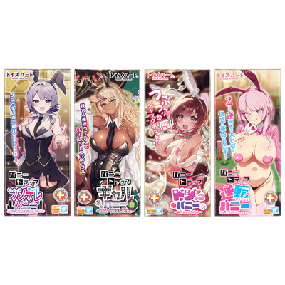 ４人のバニーガールが描かれた華やかなパッケージデザイン。キャラクターの性格と内部構造のコンセプトがリンクしており、一目で個性が選別できる構造です。