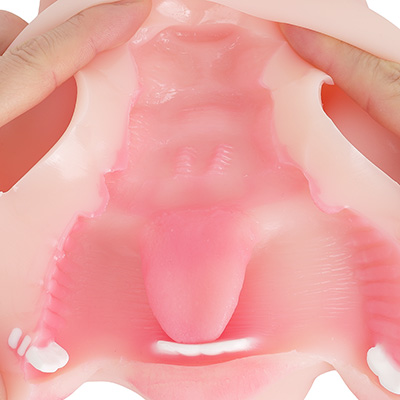 口腔内のテクスチャーです。浅いヒダが中心でエッジの利いた部分もなく、全体的には大人しい印象。